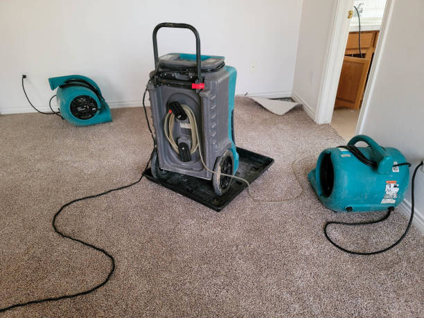 Best Fire Damage Restoration  in Wellsville, OH