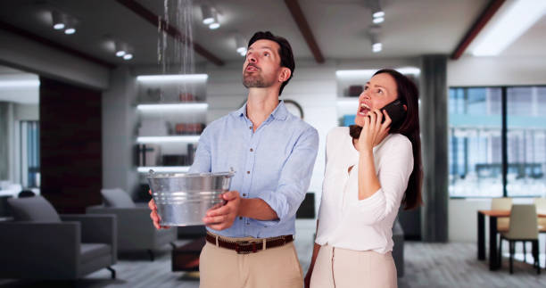 Best Water damage cleanup near me  in Wellsville, OH
